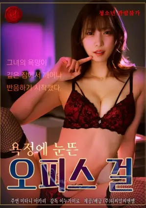 回声岛第二季电视剧全集手机在线观看